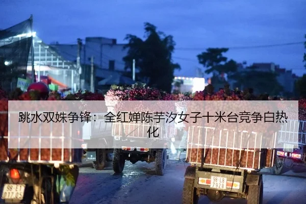 跳水双姝争锋：全红婵陈芋汐女子十米台竞争白热化