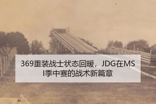369重装战士状态回暖，JDG在MSI季中赛的战术新篇章